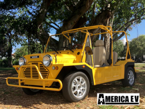 golf cart financing, south beach golf cart financing, easy cart financing