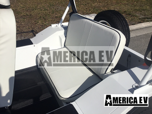 6 passenger mokee golf cart, america ev mokee, mokee cart